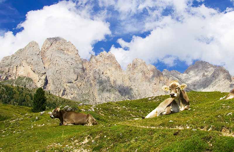Circular hiking trail on the south side of the Geisler